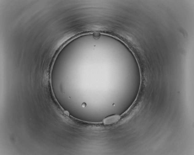 X0000114161073200910221603