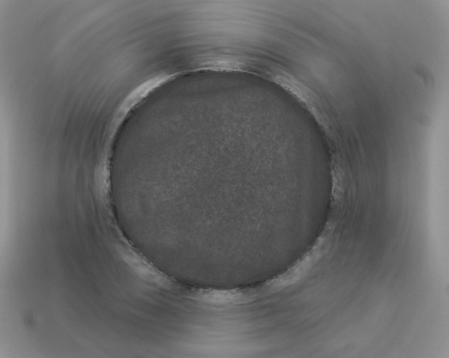 X0000114161074200910221603