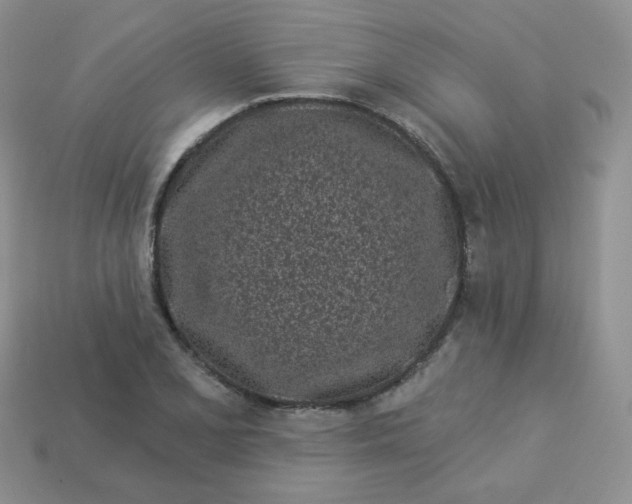 X0000114161077200910221603