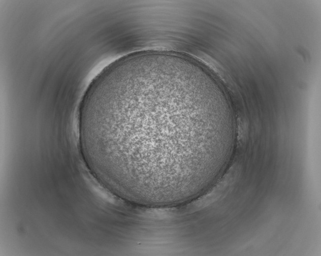 X0000114161078200910221603