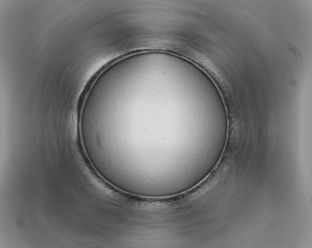 X0000114161079200910221603