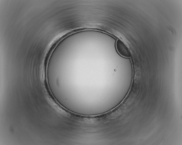 X0000114161080200910221603