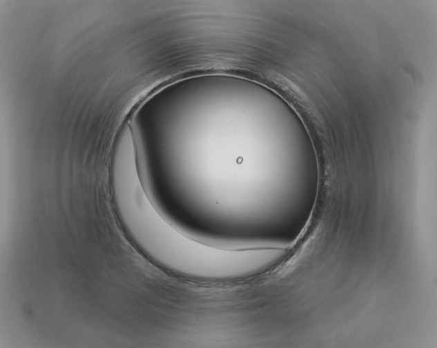 X0000114161081200910221603