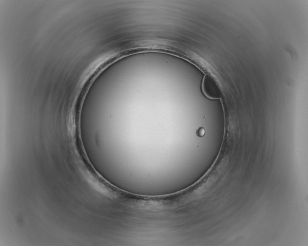 X0000114161082200910221603