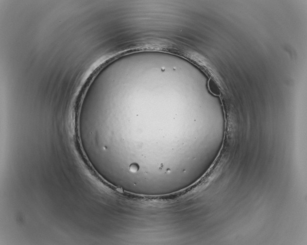 X0000114161083200910221603