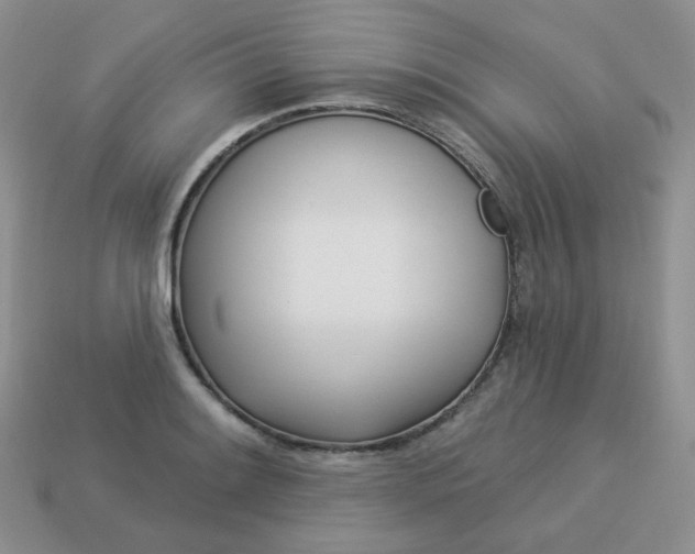 X0000114161084200910221603