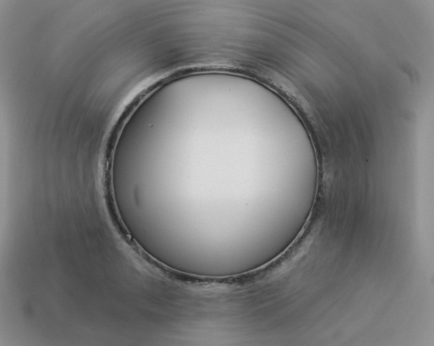 X0000114161085200910221603