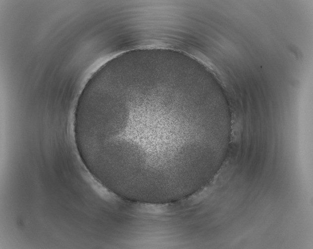 X0000114161086200910221603