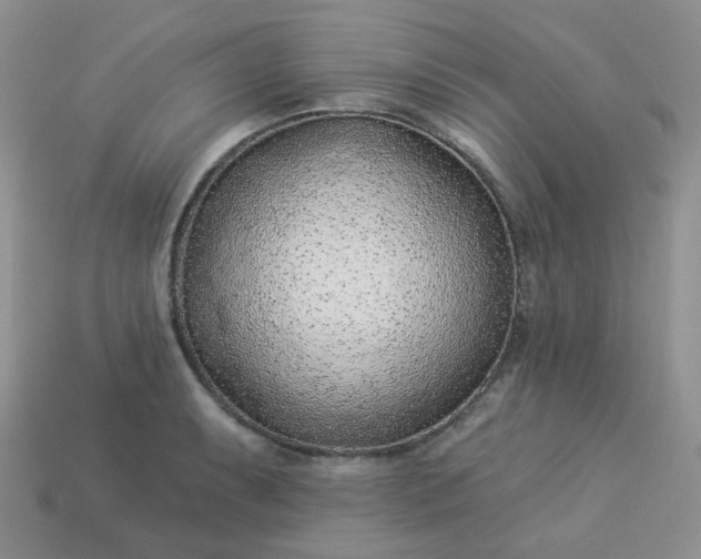 X0000114161087200910221603