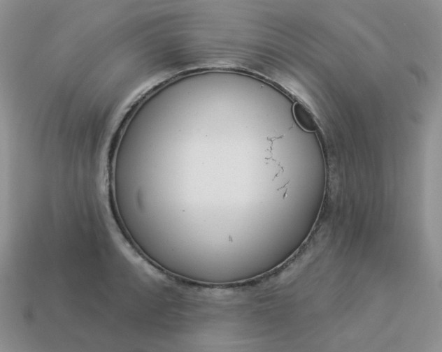 X0000114161088200910221603