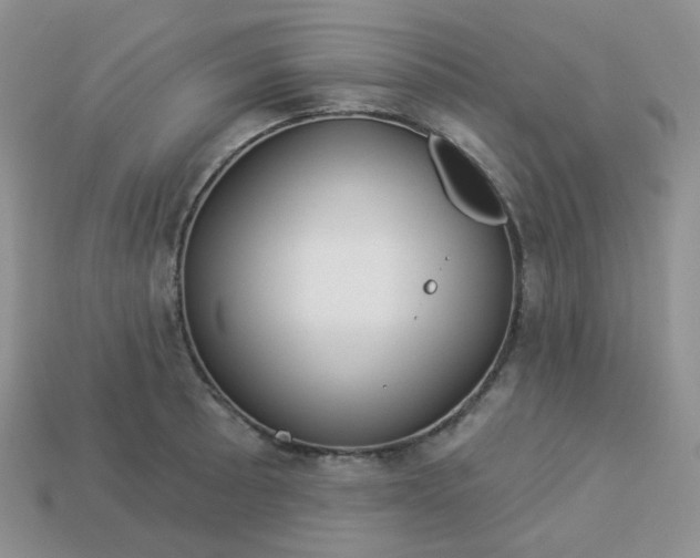 X0000114161089200910221603