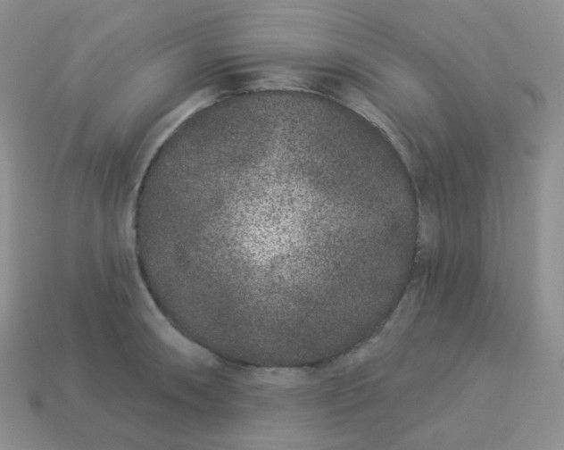 X0000114161090200910221603