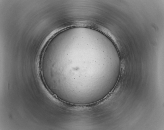 X0000114161091200910221603