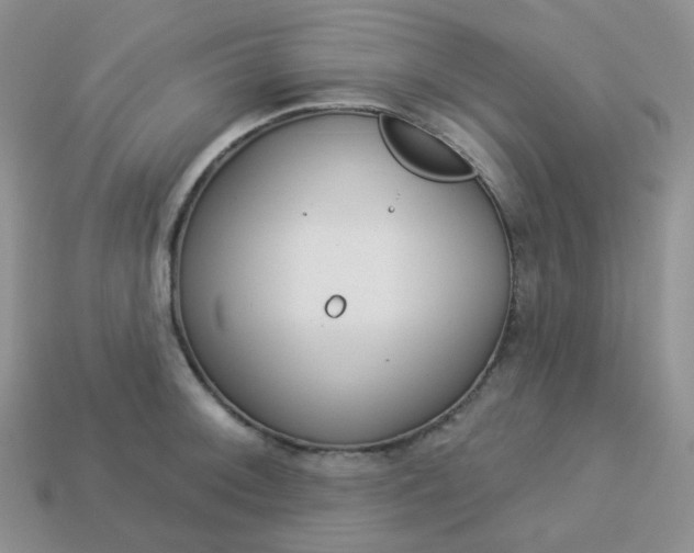 X0000114161092200910221603