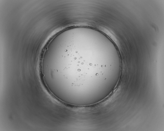 X0000114161093200910221602