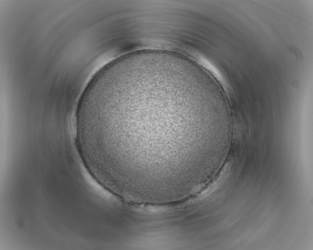 X0000114161095200910221602