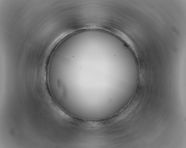 X0000114161096200910221602