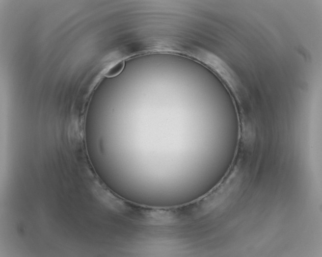 X0000114161097200910221602