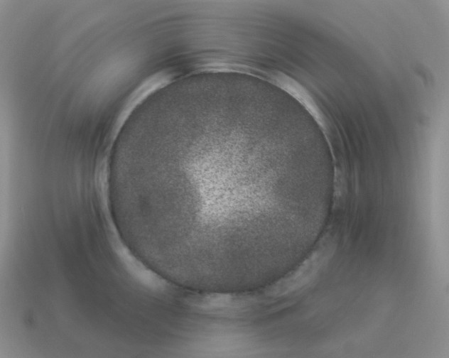 X0000114161098200910221602