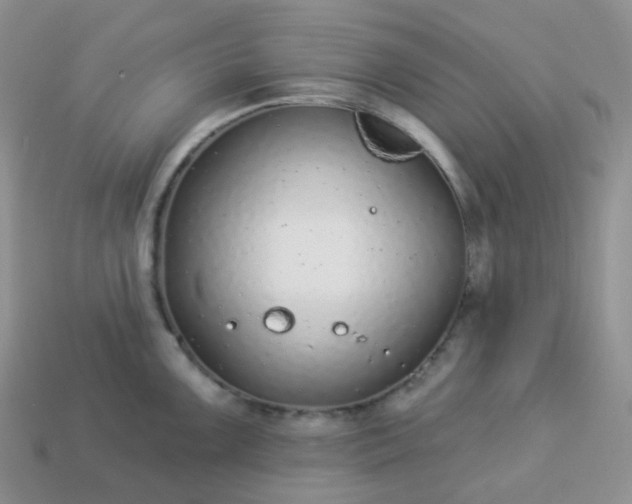 X0000114161099200910221602