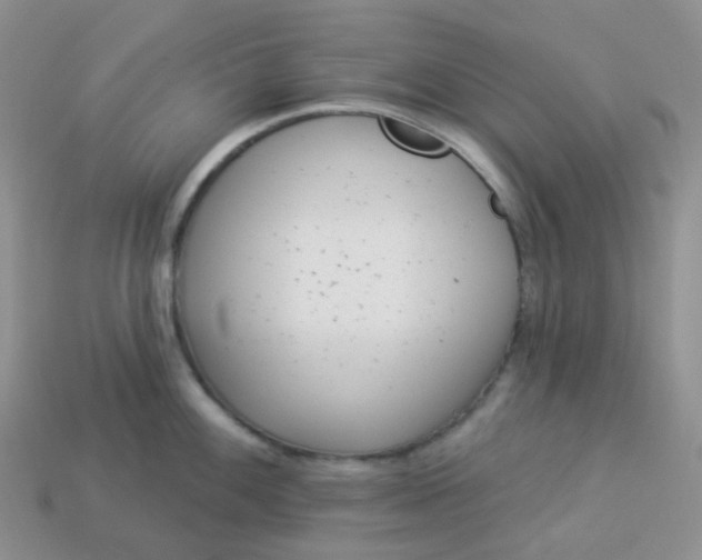 X0000114161100200910221602