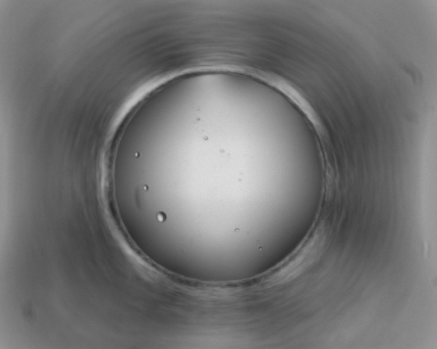 X0000114161101200910221602