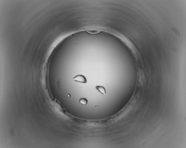 X0000114161102200910221602