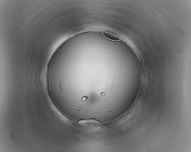 X0000114161103200910221602