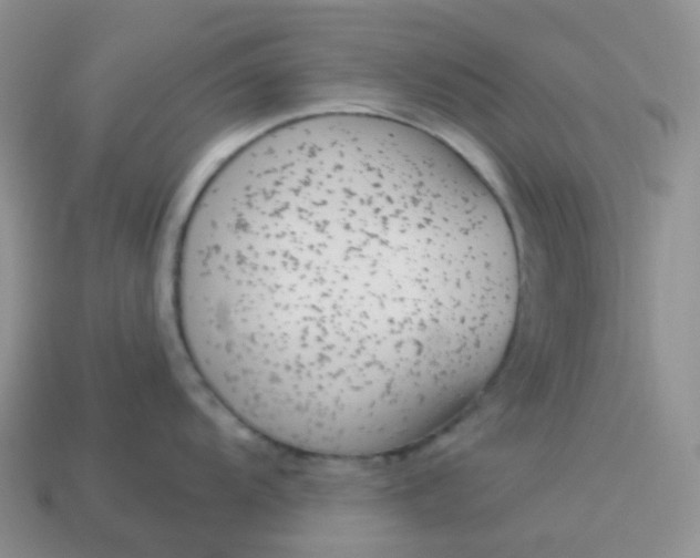 X0000114161104200910221602