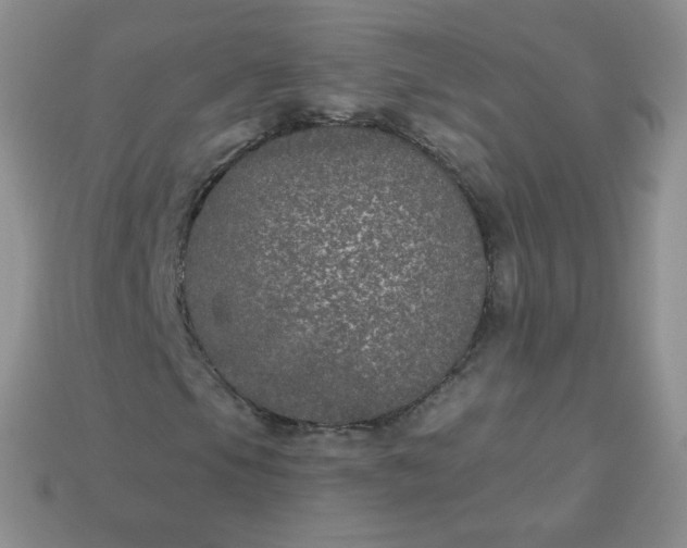 X0000114161105200910221602