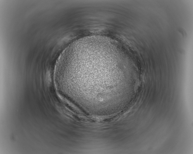 X0000114161106200910221602