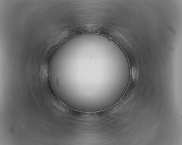 X0000114161107200910221602