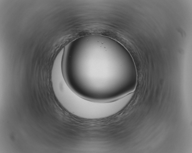 X0000114161108200910221602