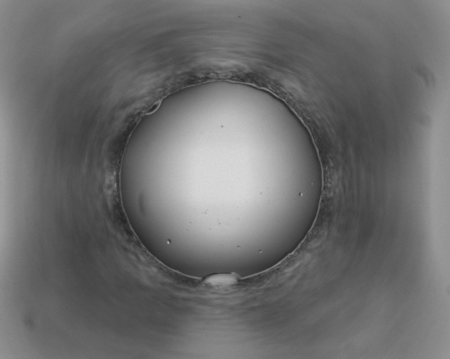 X0000114161109200910221602