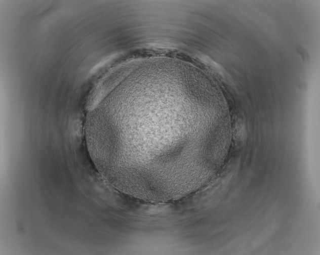 X0000114161110200910221602