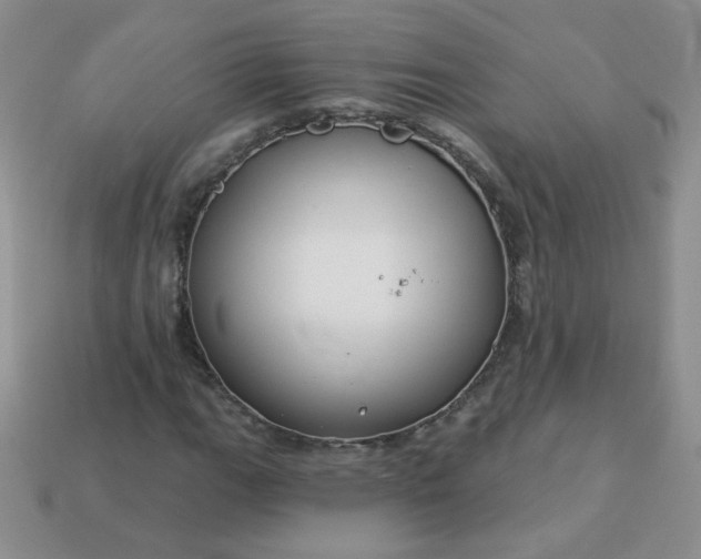 X0000114161111200910221602