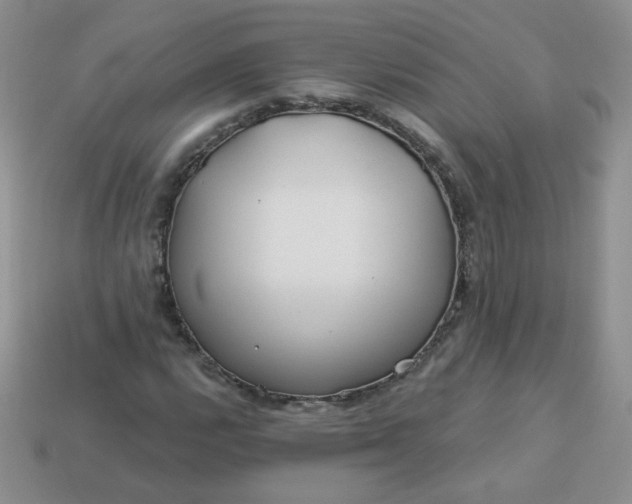 X0000114161112200910221602