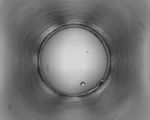 X0000114161113200910221602