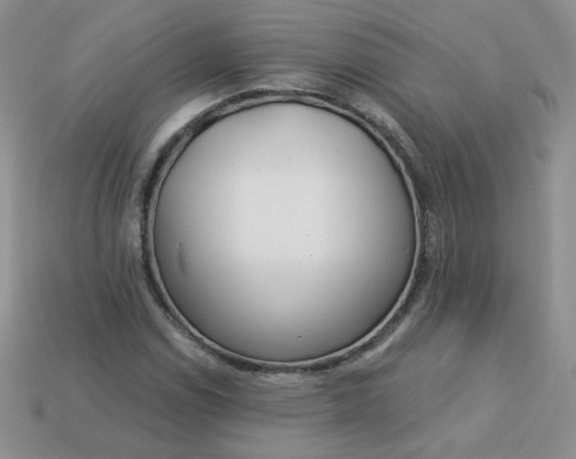 X0000114161114200910221602