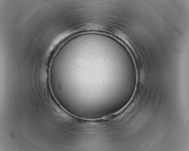 X0000114161115200910221602