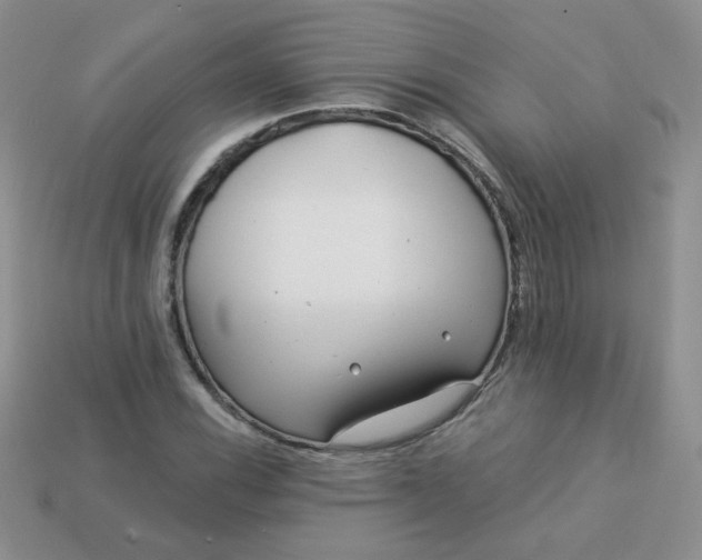 X0000114161116200910221602