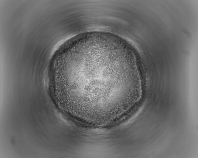 X0000114161117200910221602