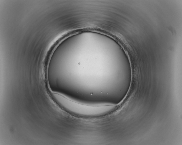 X0000114161118200910221602