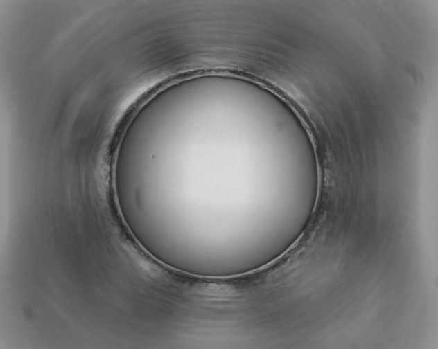 X0000114161119200910221602