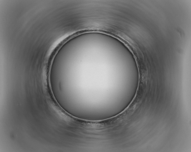 X0000114161120200910221602