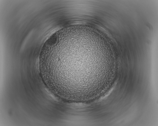 X0000114161121200910221602