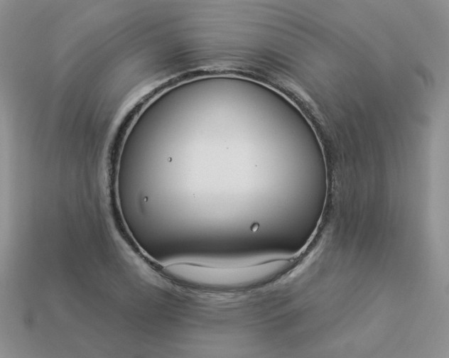 X0000114161122200910221602