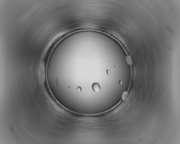 X0000114161123200910221602