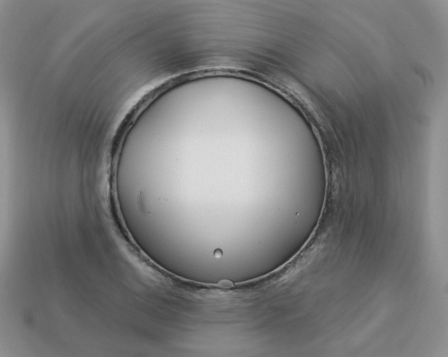 X0000114161124200910221602