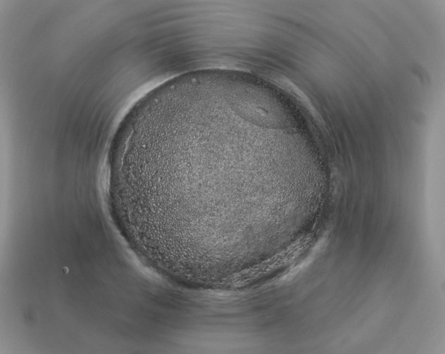 X0000114161125200910221602